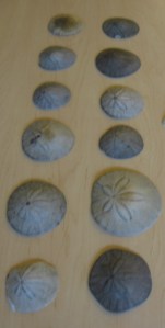 IMG_7512 - Version 2