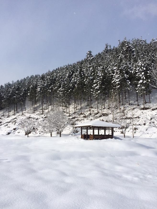 27972991_1802441199776704_3987553253306109483_n