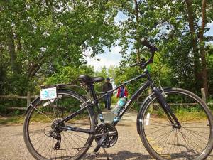 44219174_1881174115306360_4965050750443978752_n