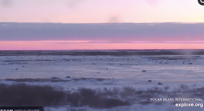 screen shot 2018-11-19 at 8.47.17 pm