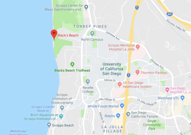 Screen Shot 2019-02-12 at 11.56.34 AM